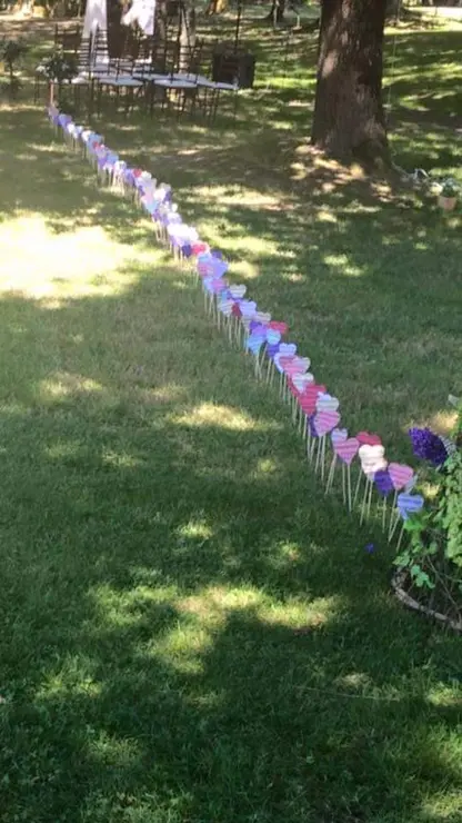 FB_IMG_1546623028939